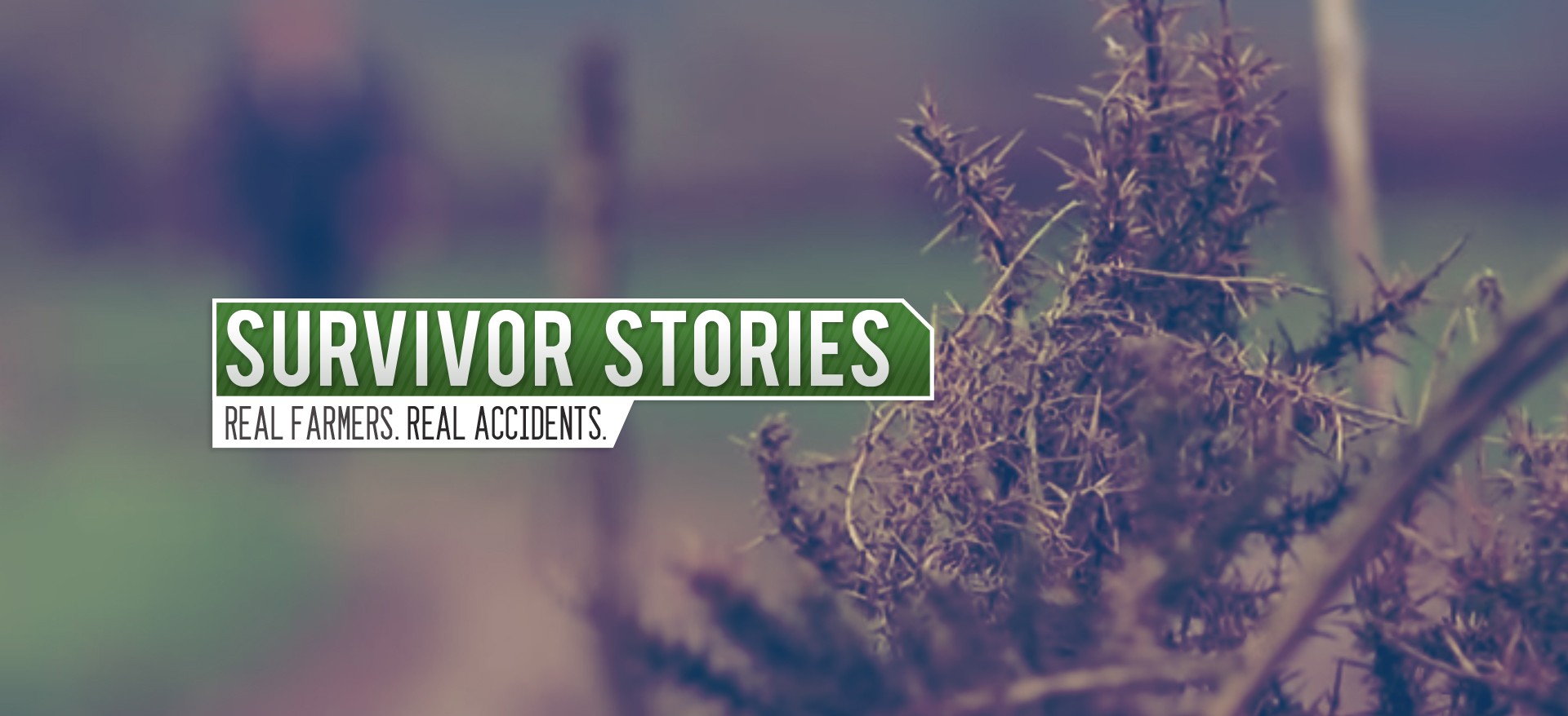 Survivor Stories Image